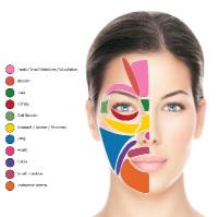 gezichtsreflexologie